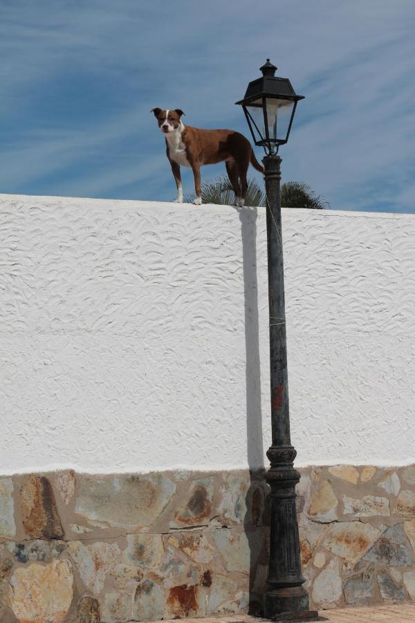 Golf View Apartment - Stunning Ocean View Golf Del Sur San Miguel de Abona Exterior photo